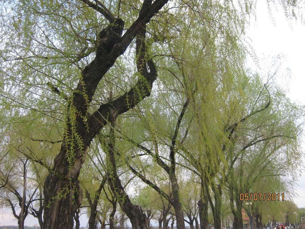 IMG_3586.jpg
