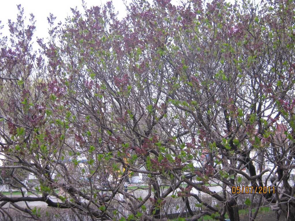 IMG_3613.jpg
