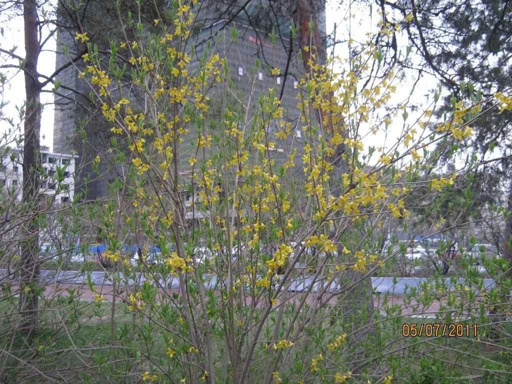 IMG_3615.jpg