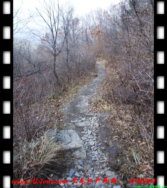 20081114_���۳���_292.jpg