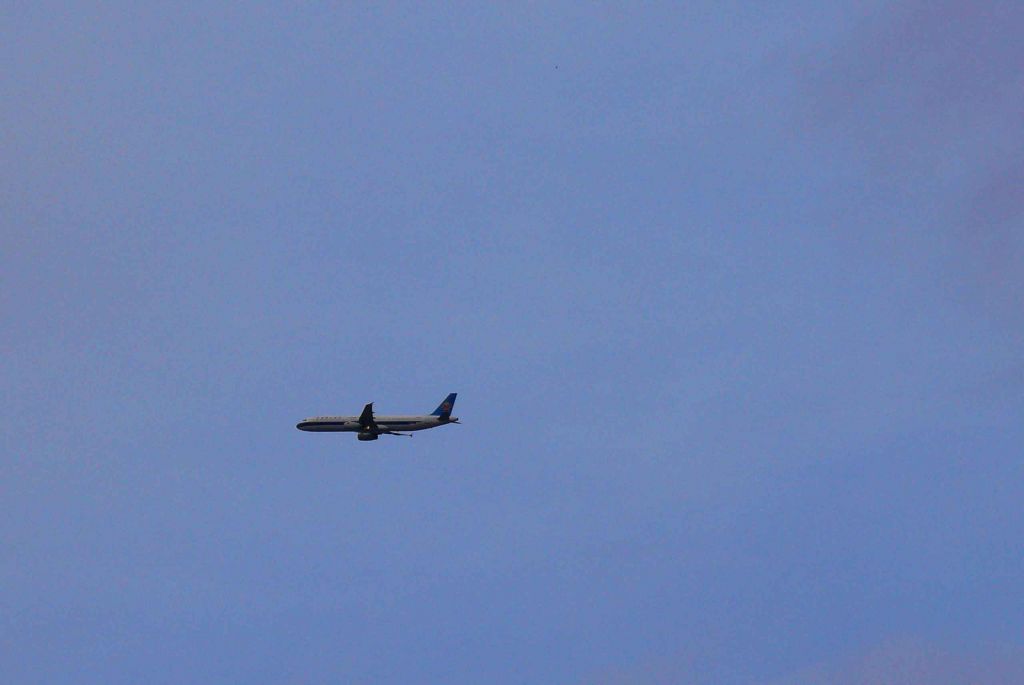 P1050478.JPG