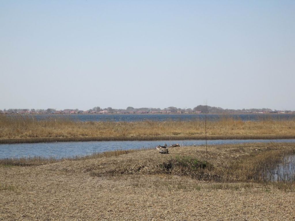 ������С 201105 265.jpg