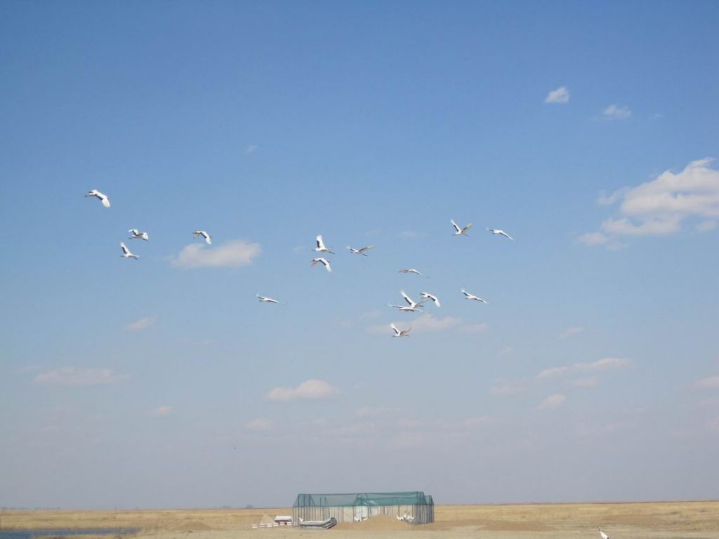 ������С 201105 391.jpg