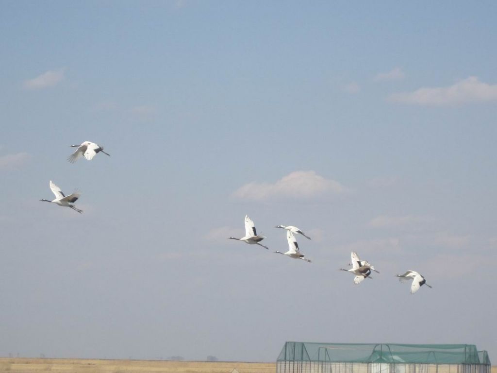 ������С 201105 387.jpg