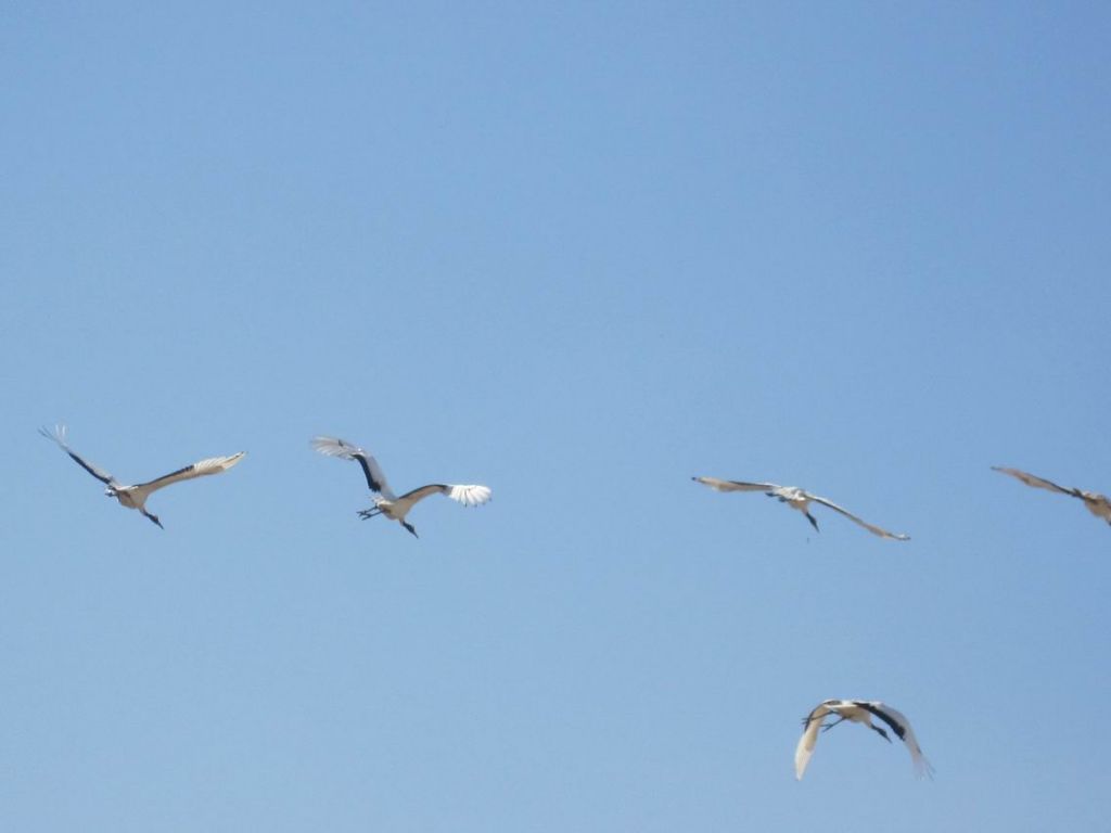 ������С 201105 389.jpg