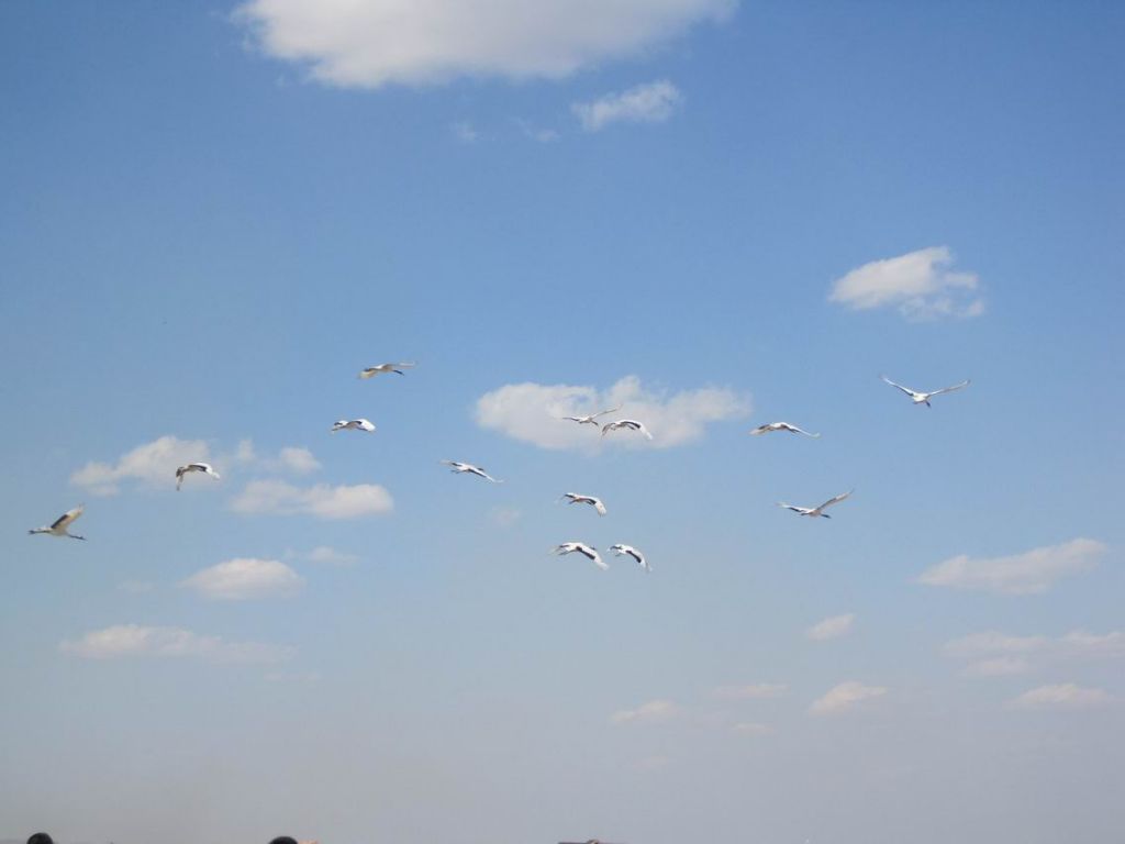 ������С 201105 390.jpg