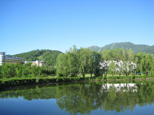 201106 194.jpg