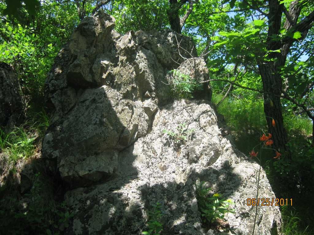 IMG_6248.jpg