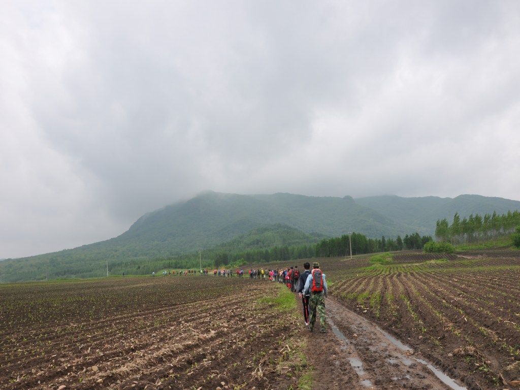 DSC_0010_conew1.jpg