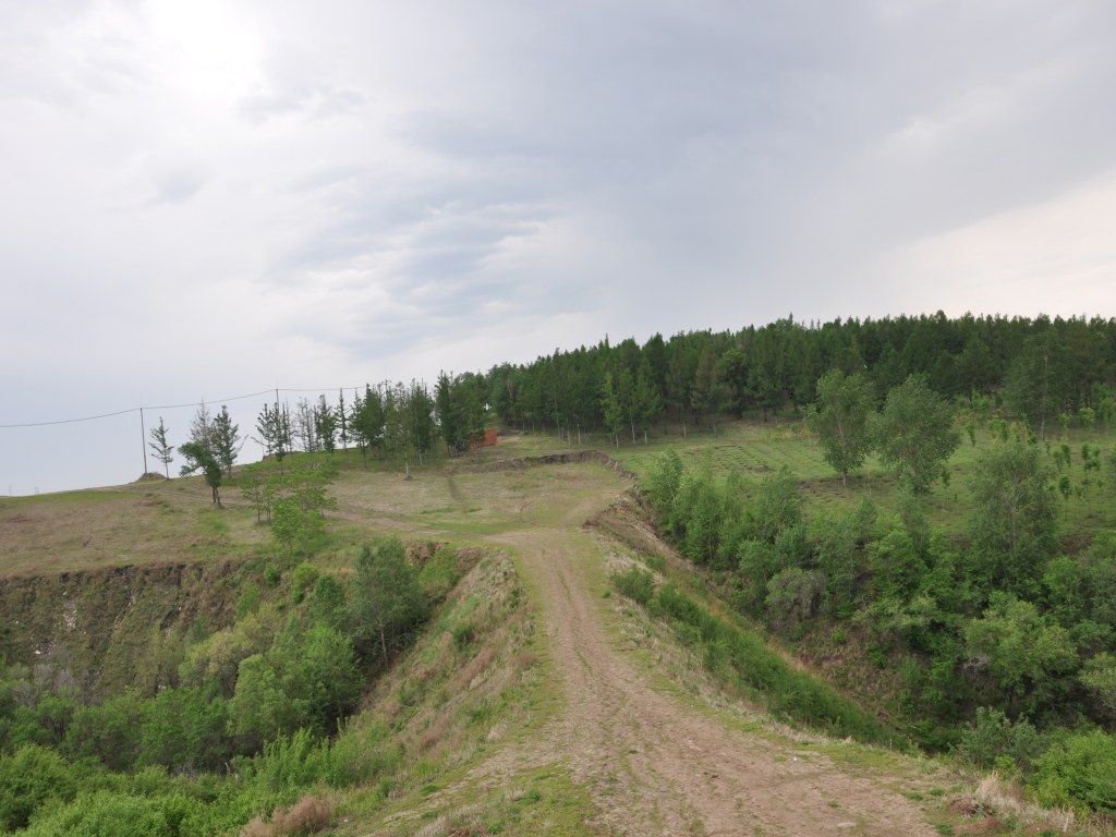 DSC_0113_conew1.jpg