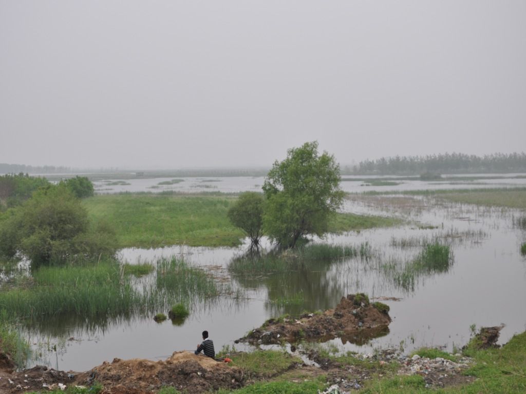 DSC_0017_conew1.jpg