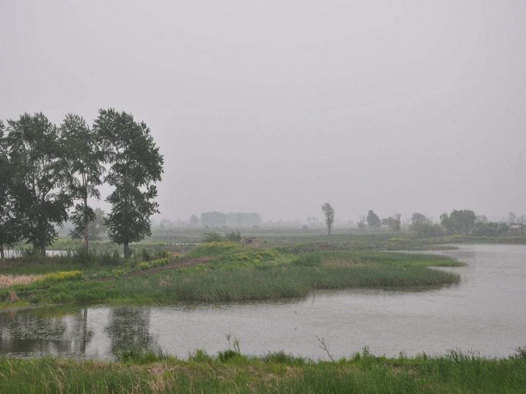 DSC_0067_conew1.jpg