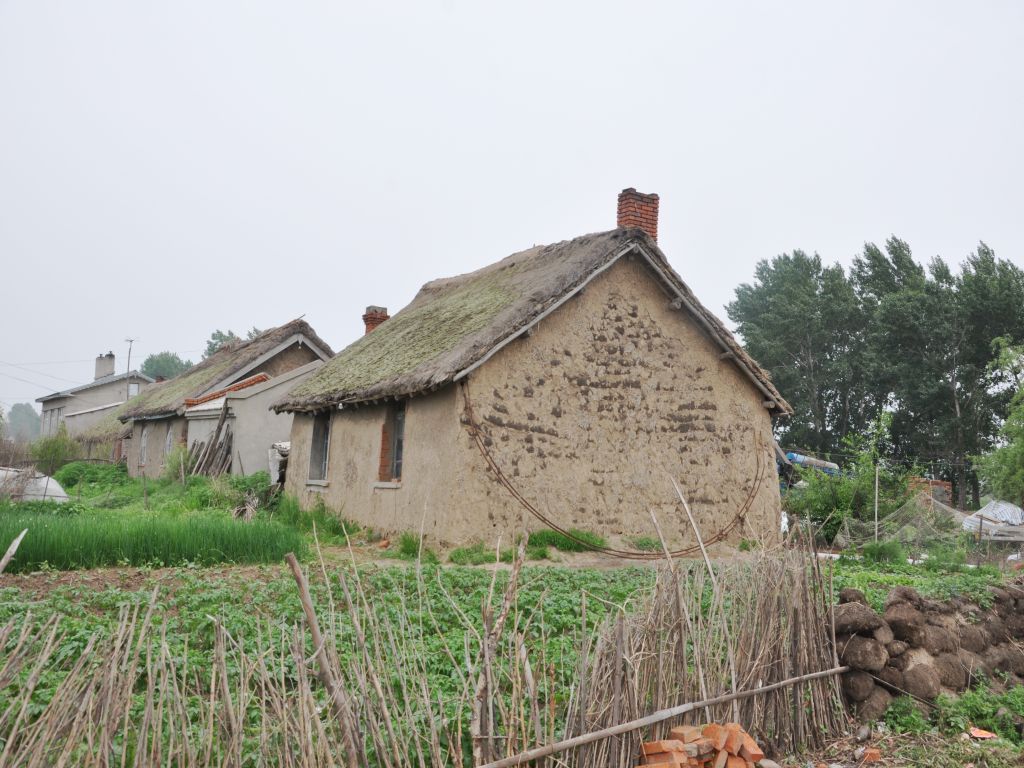 DSC_0135_conew1.jpg