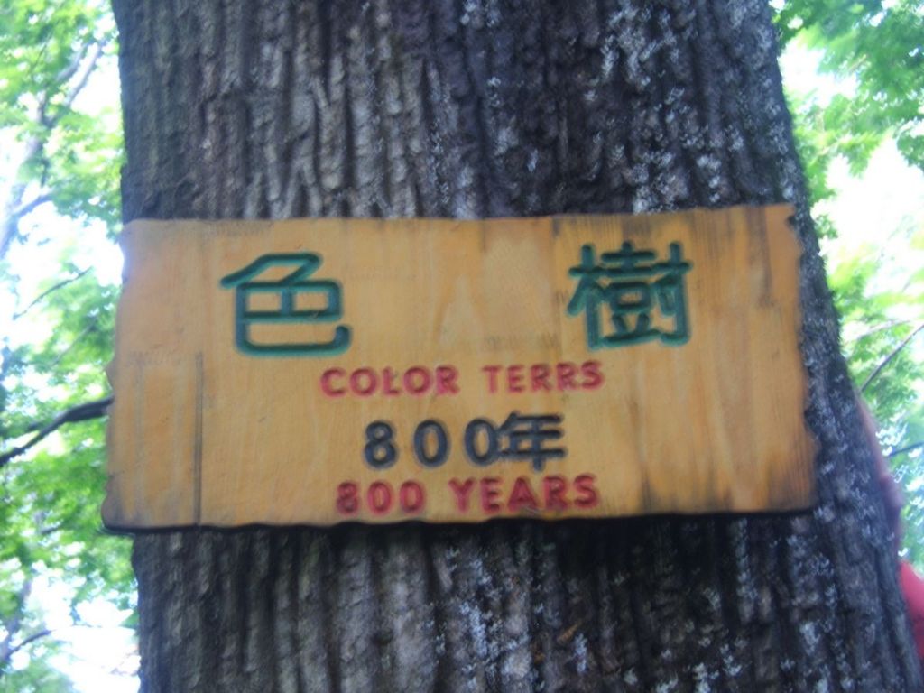 DSCF5856.jpg