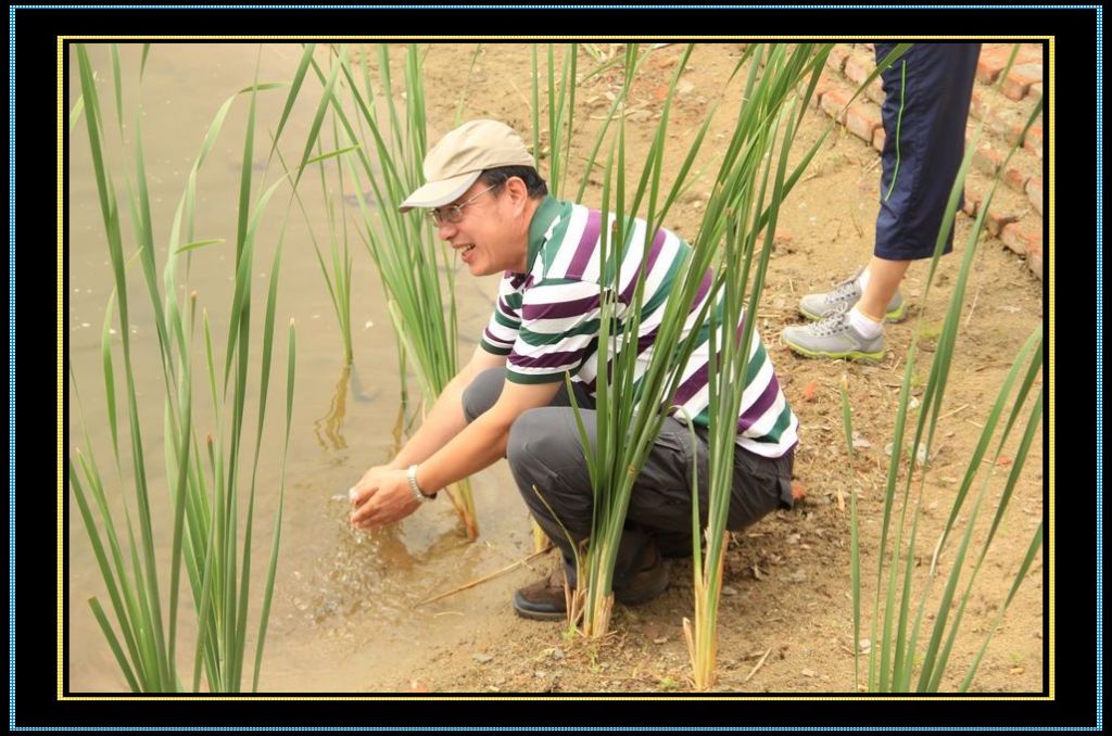 nEO_IMG_��Ƭ 212.jpg