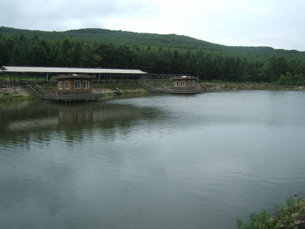 DSCF6009.jpg