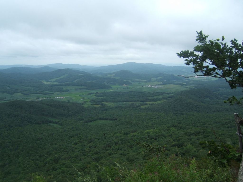 DSCF6052.jpg