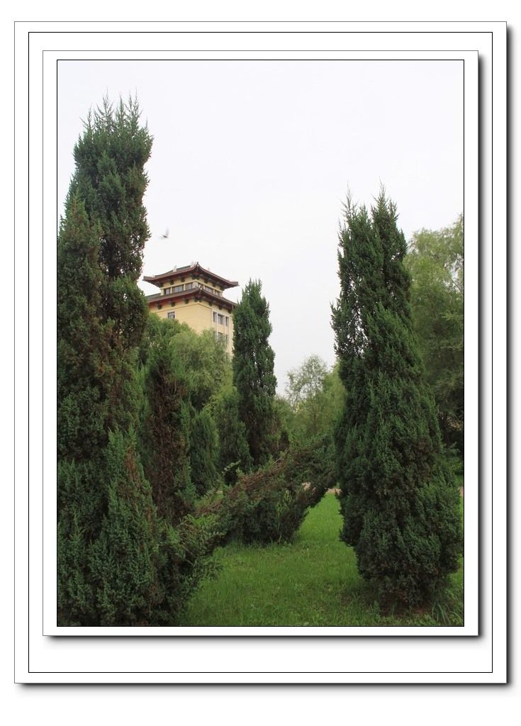 ��ת ��Ƭ 035.jpg