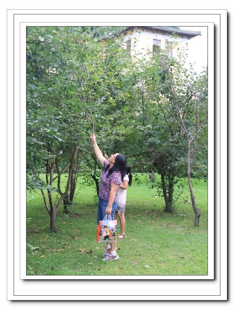 ��ת ��Ƭ 039.jpg