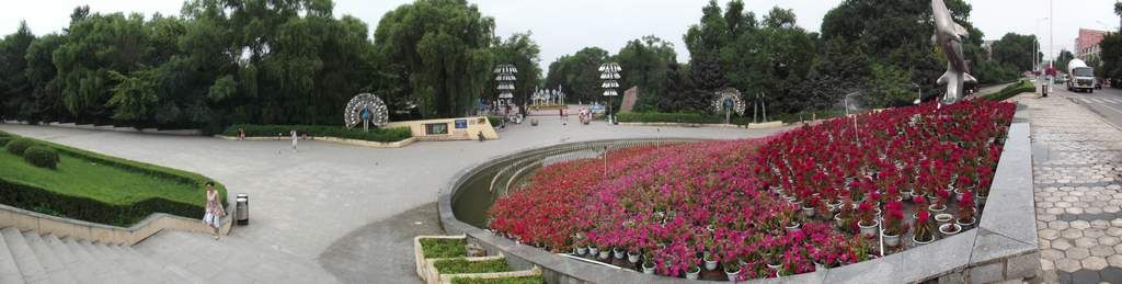 DSCF0302.jpg
