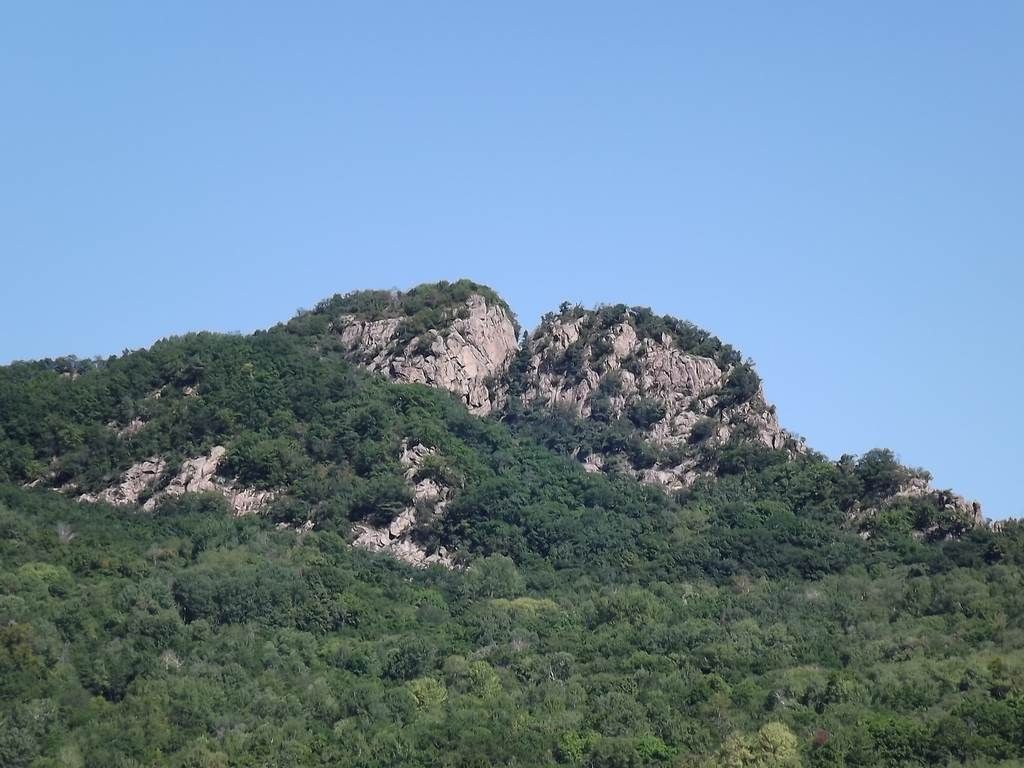 DSCF4538.jpg