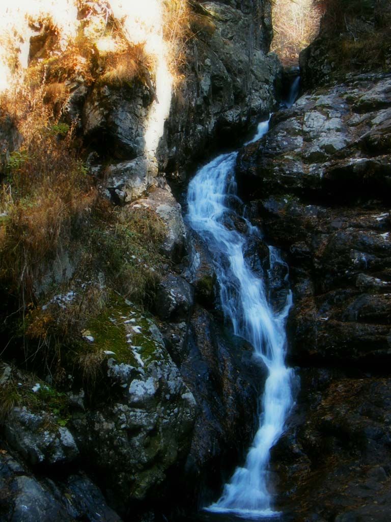 DSCF7340.jpg