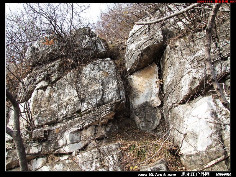 20081114_���۳���_007.jpg