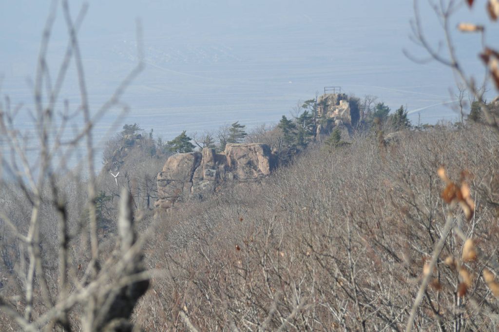 DSC_0132.JPG