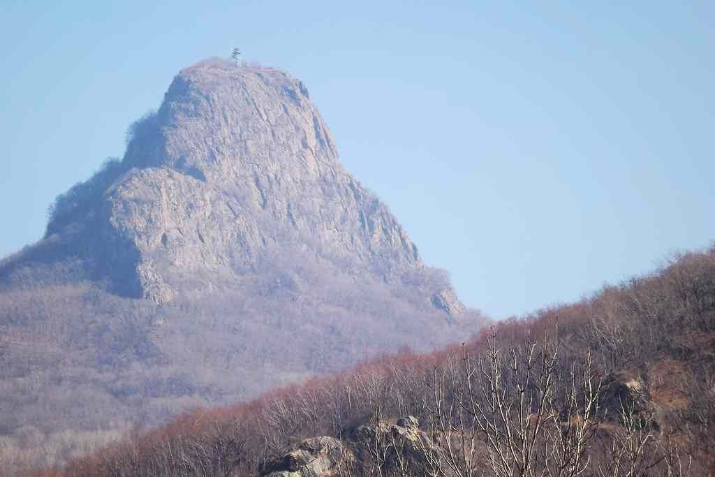 DSCF0638.jpg