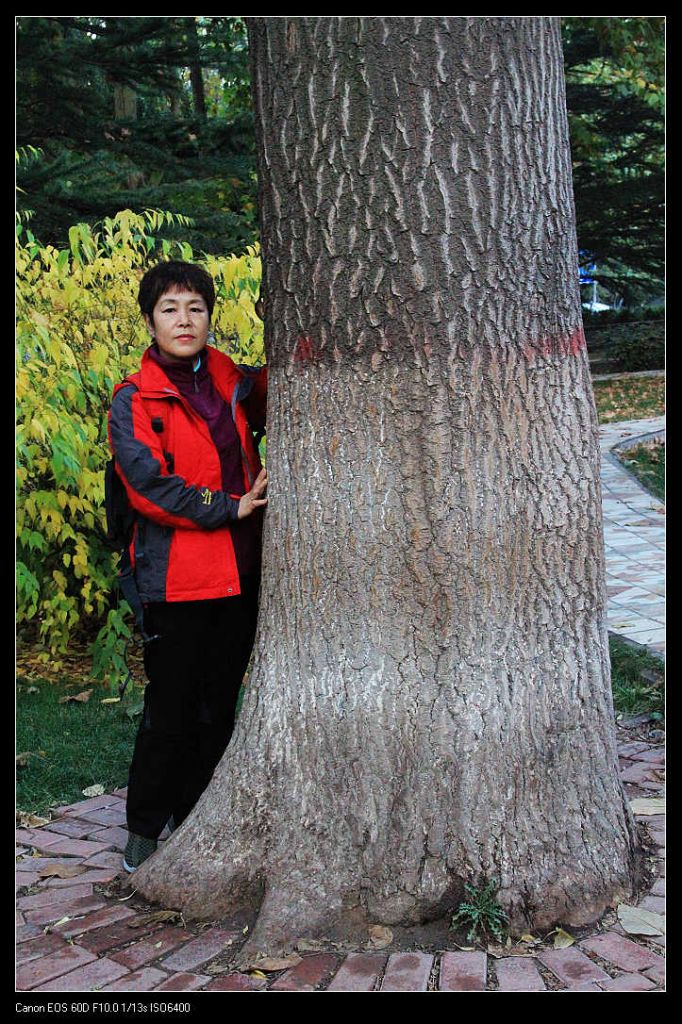 ��ת IMG_9355.jpg