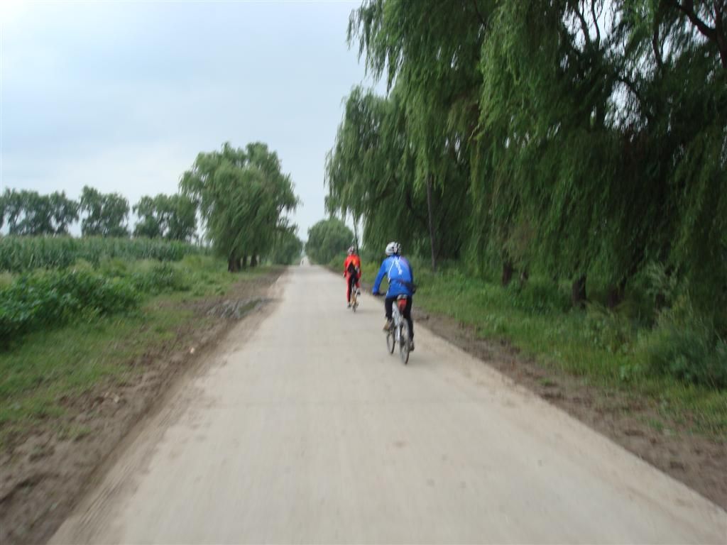 DSC01454 (��).JPG