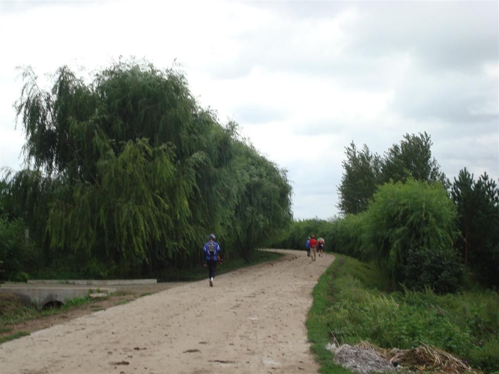 DSC01431 (��).JPG