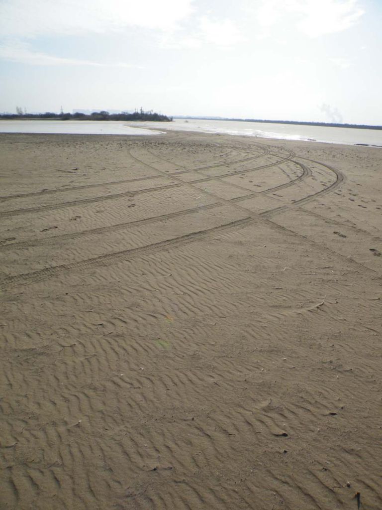 DSCF3237.JPG