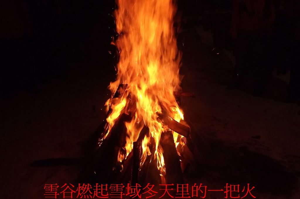 DSCF5649.jpg