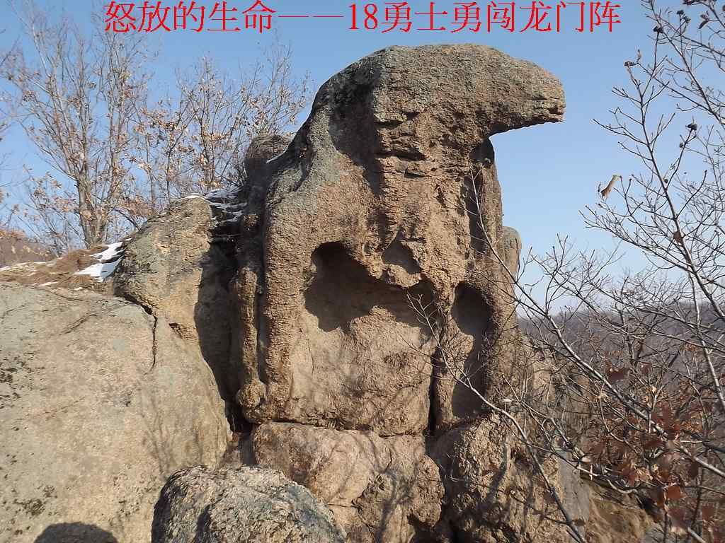 DSCF8947.jpg