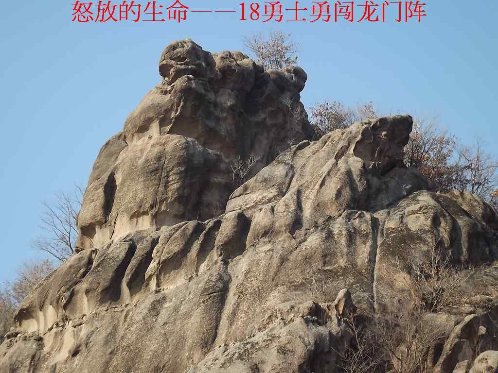 DSCF8950.jpg