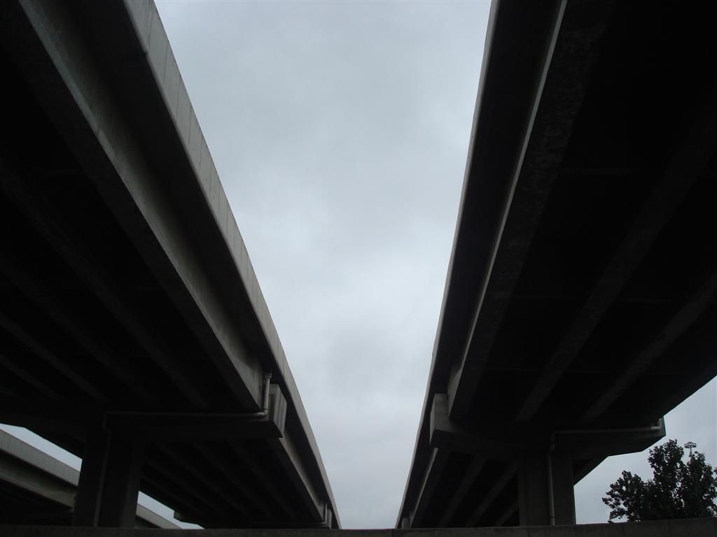 DSC01532 (��).JPG