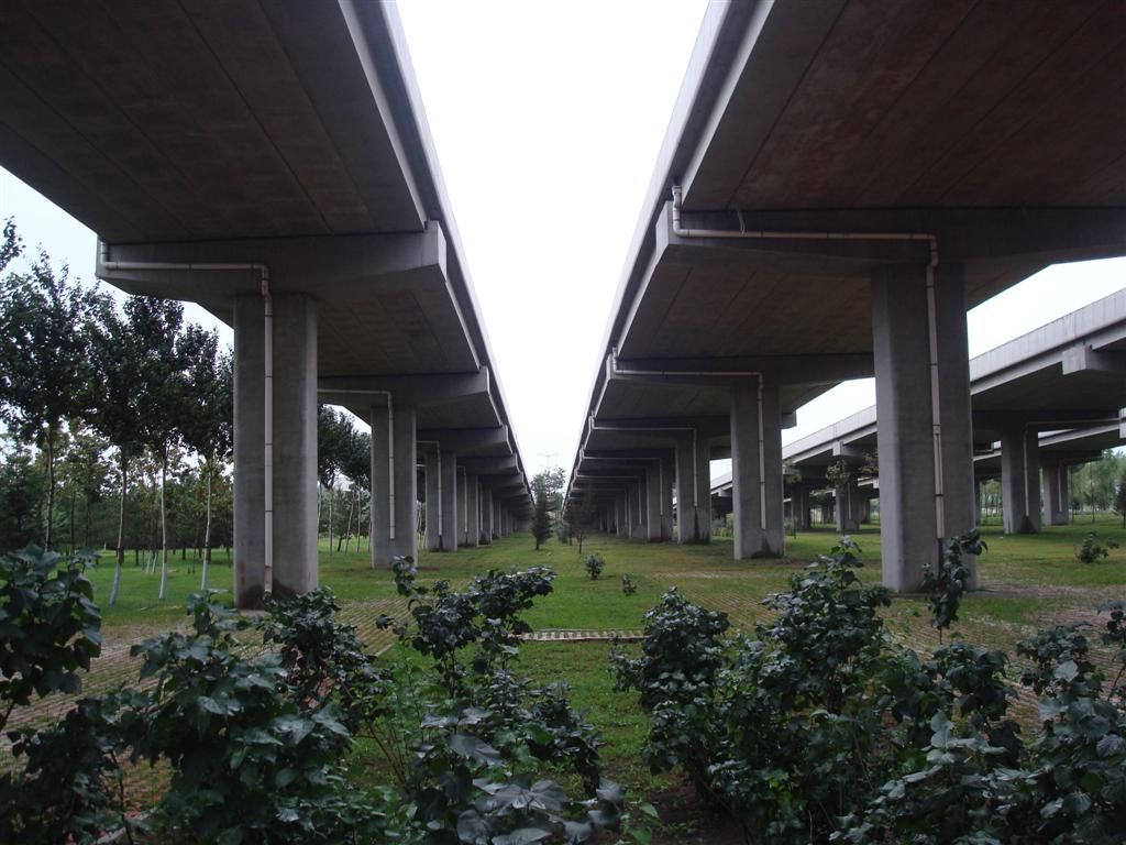 DSC01533 (��).JPG