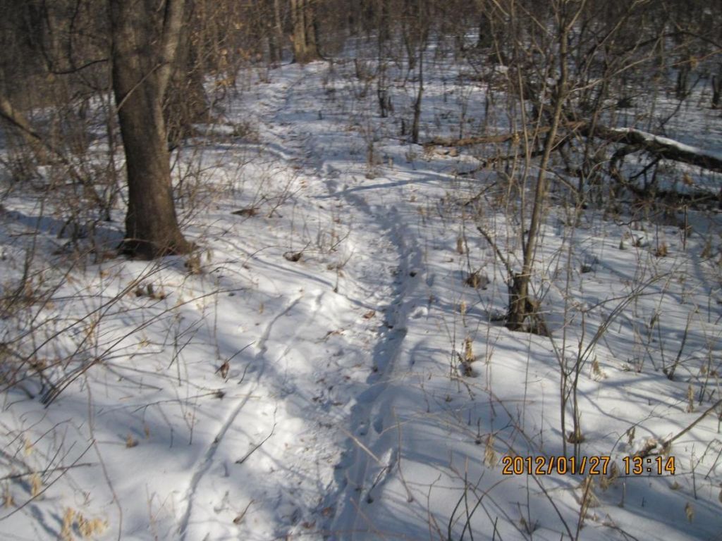 ��Ƭ 079.jpg