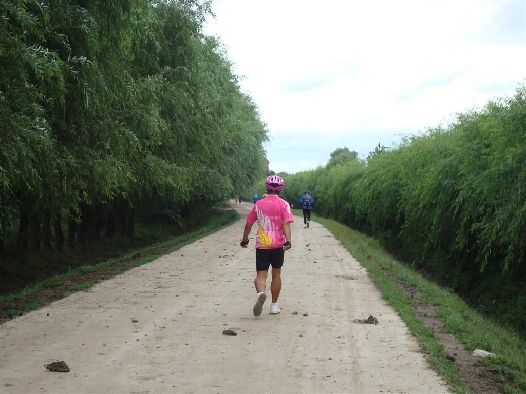 DSC01433 (��).JPG