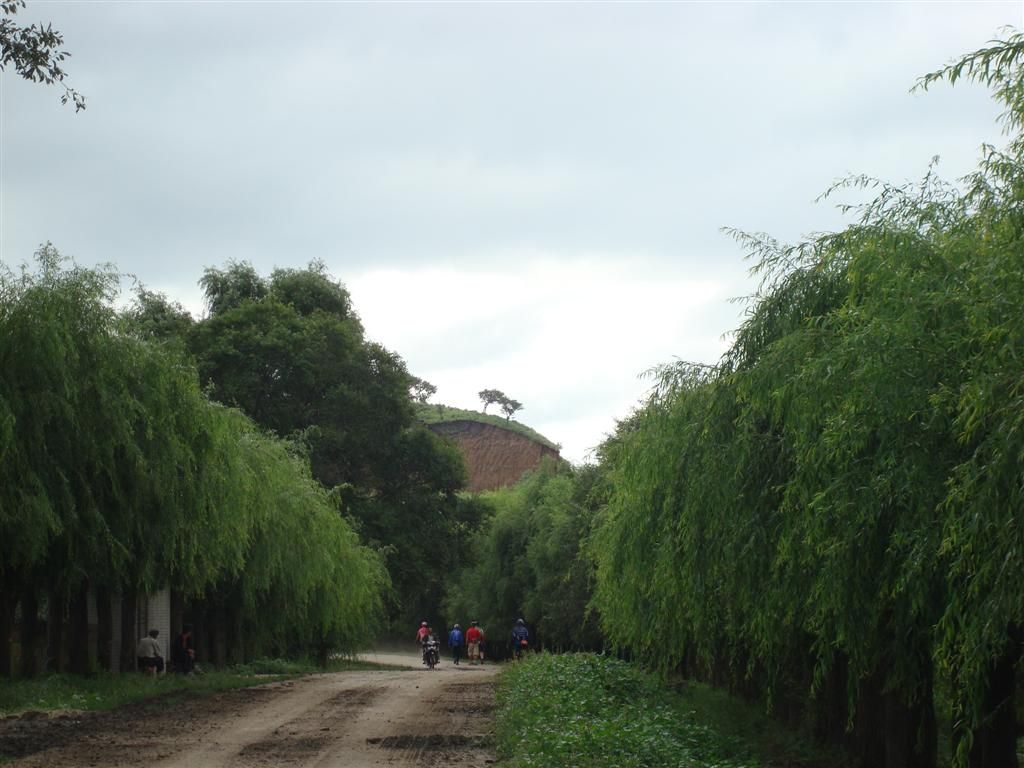 DSC01435 (��).JPG