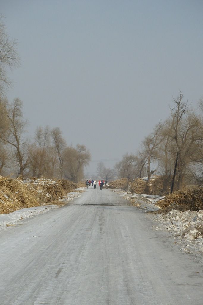 SNV10146_��Ӱ_1.jpg