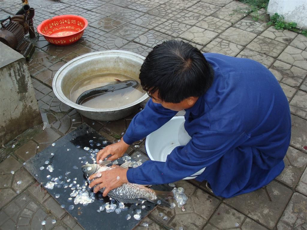 DSC01481 (��).JPG