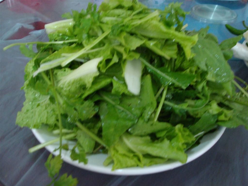 DSC01489 (��).JPG