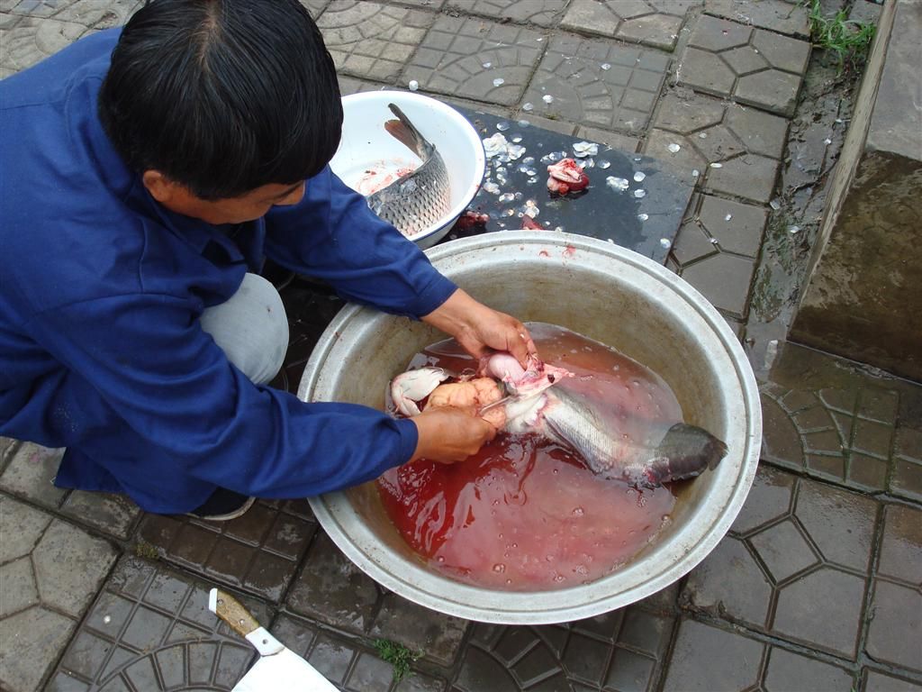 DSC01486 (��).JPG