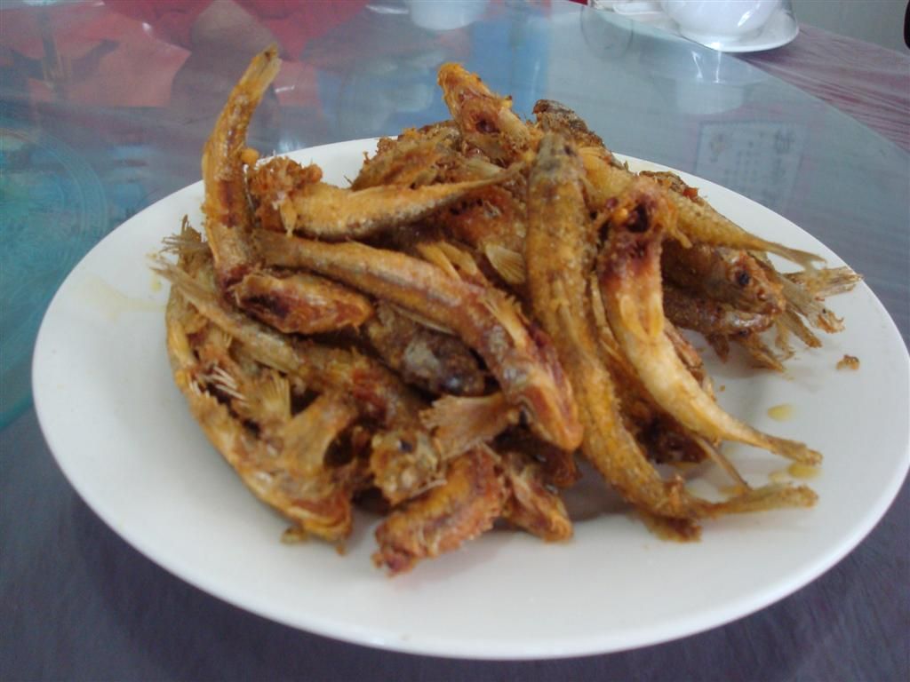 DSC01487 (��).JPG