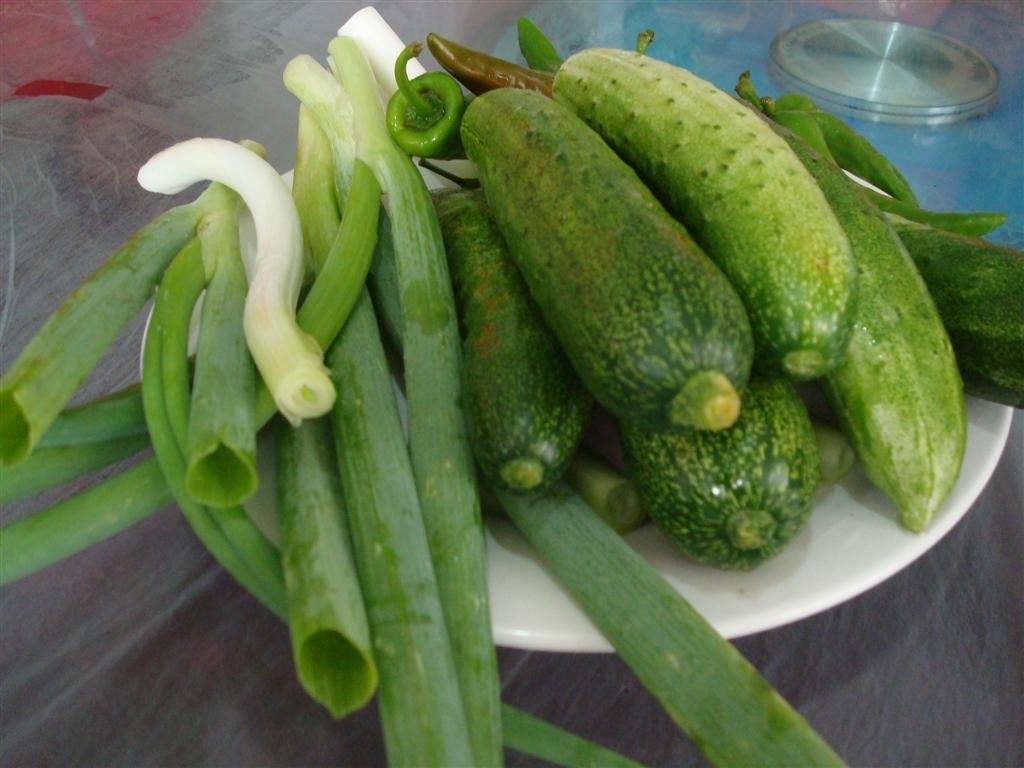 DSC01488 (��).JPG