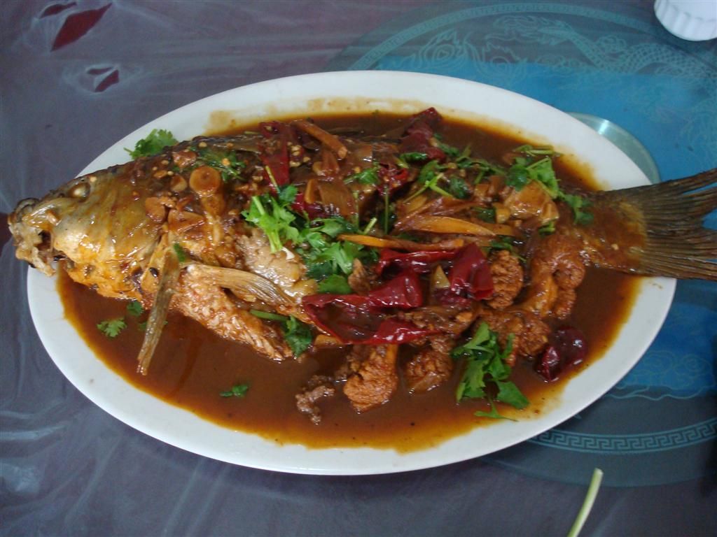 DSC01490 (��).JPG