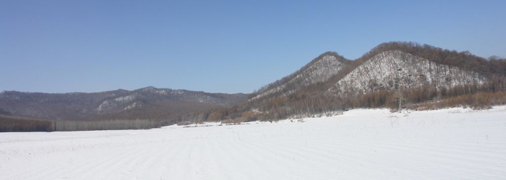 DSC02041.jpg