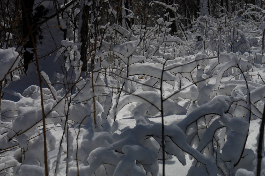 DSC02092.jpg